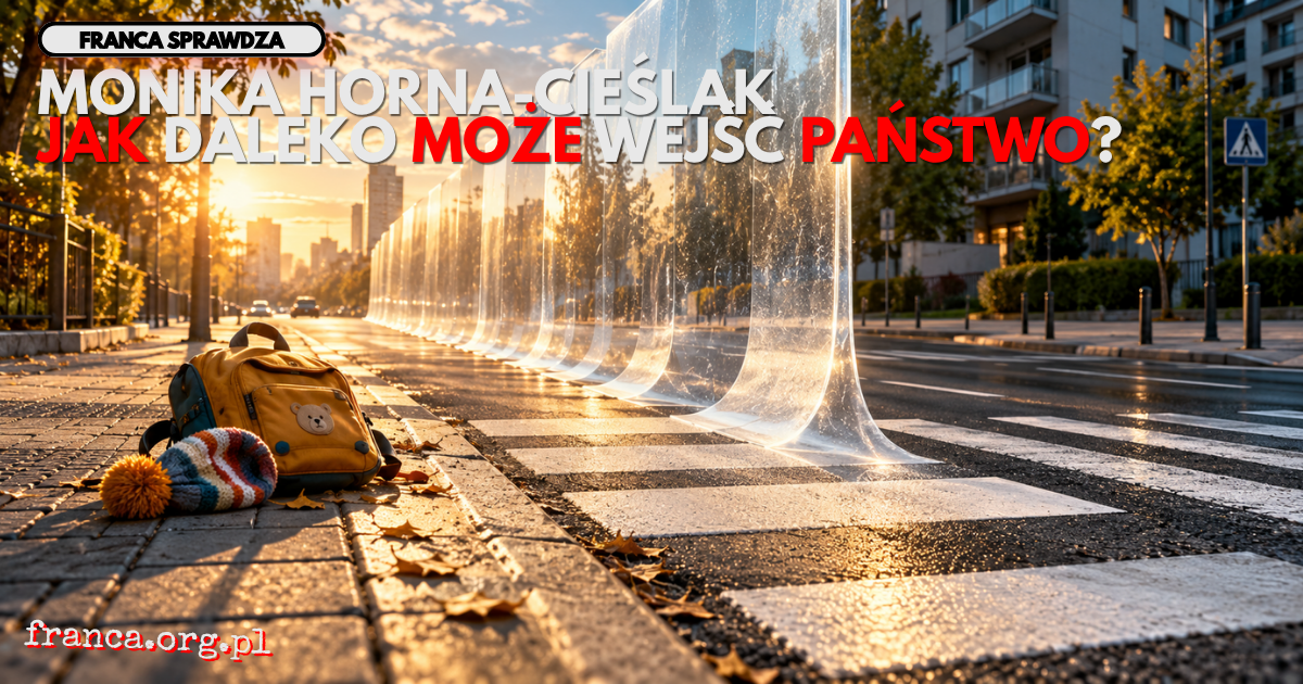 Miejski chodnik i przejście dla pieszych, którego jeden biały pas unosi się z asfaltu w monumentalną przezroczystą barierę symbolizującą granicę ochronnej ingerencji państwa.